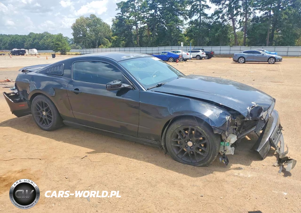 2014 Ford Mustang VIN:1ZVBP8AM3E5309683 - 4