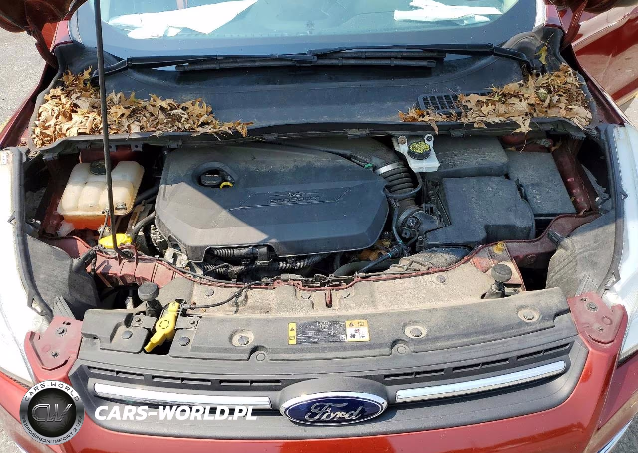 2015 Ford Escape Se VIN:1FMCU9GXXFUA06829 - 12