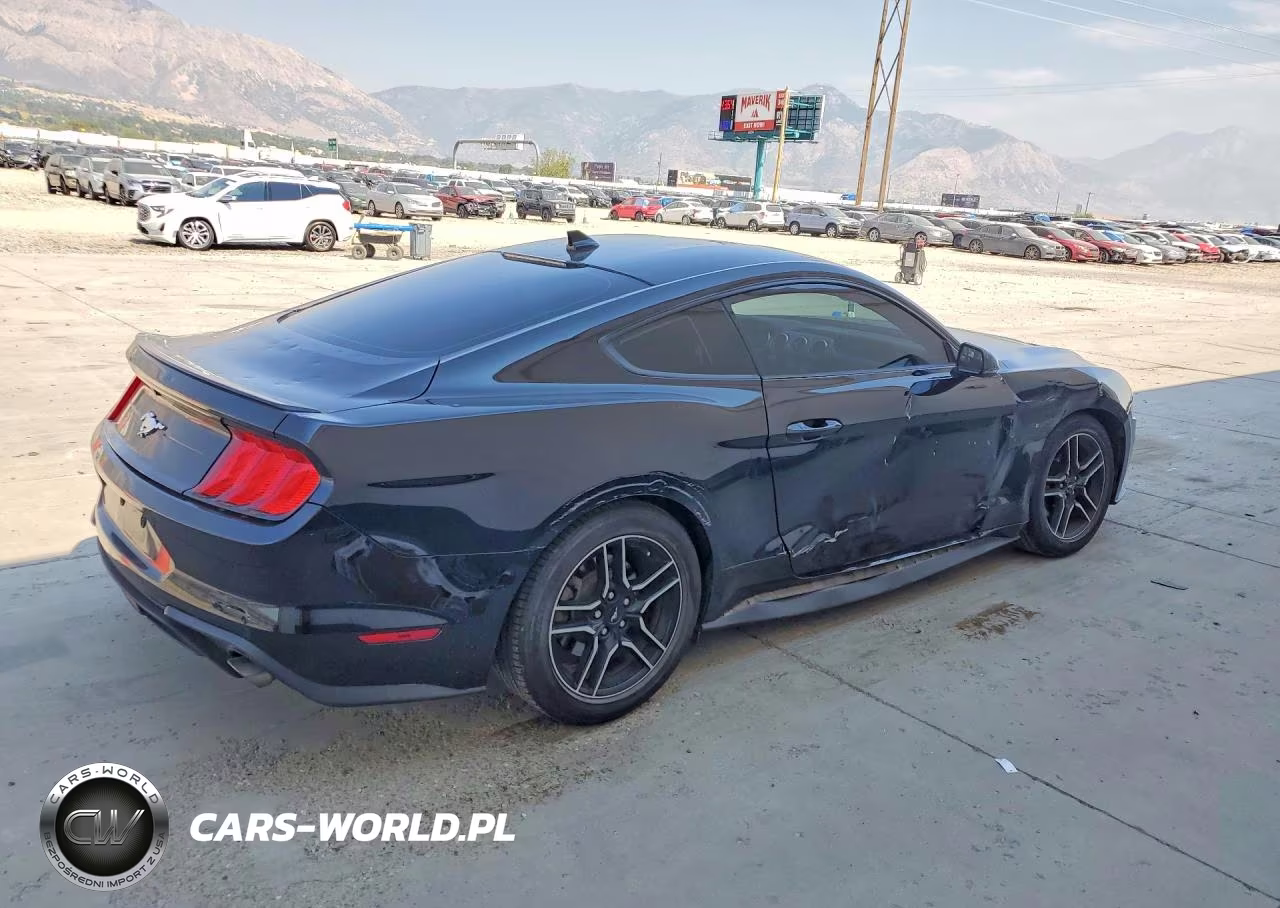 2020 Ford Mustang Ecoboost Premium Fastback VIN:1FA6P8TH4L5186709 - 3