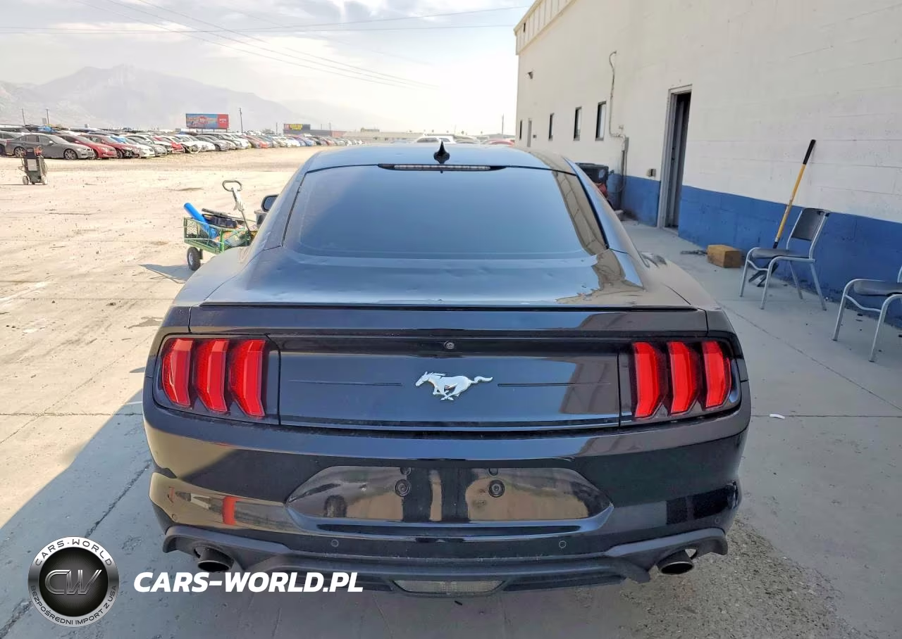 2020 Ford Mustang Ecoboost Premium Fastback VIN:1FA6P8TH4L5186709 - 6