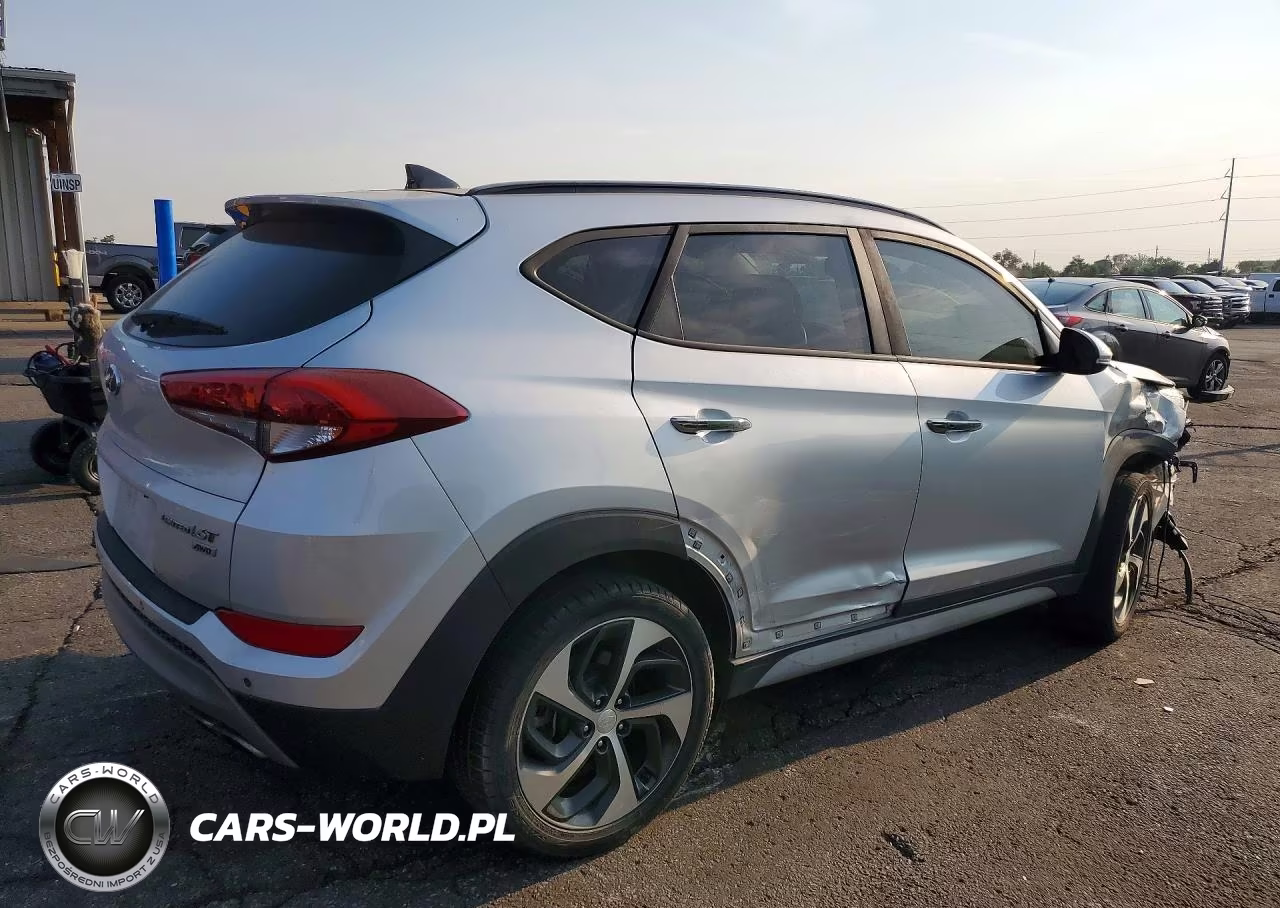 2018 Hyundai Tucson Limited VIN:KM8J3CA2XJU620051 - 3