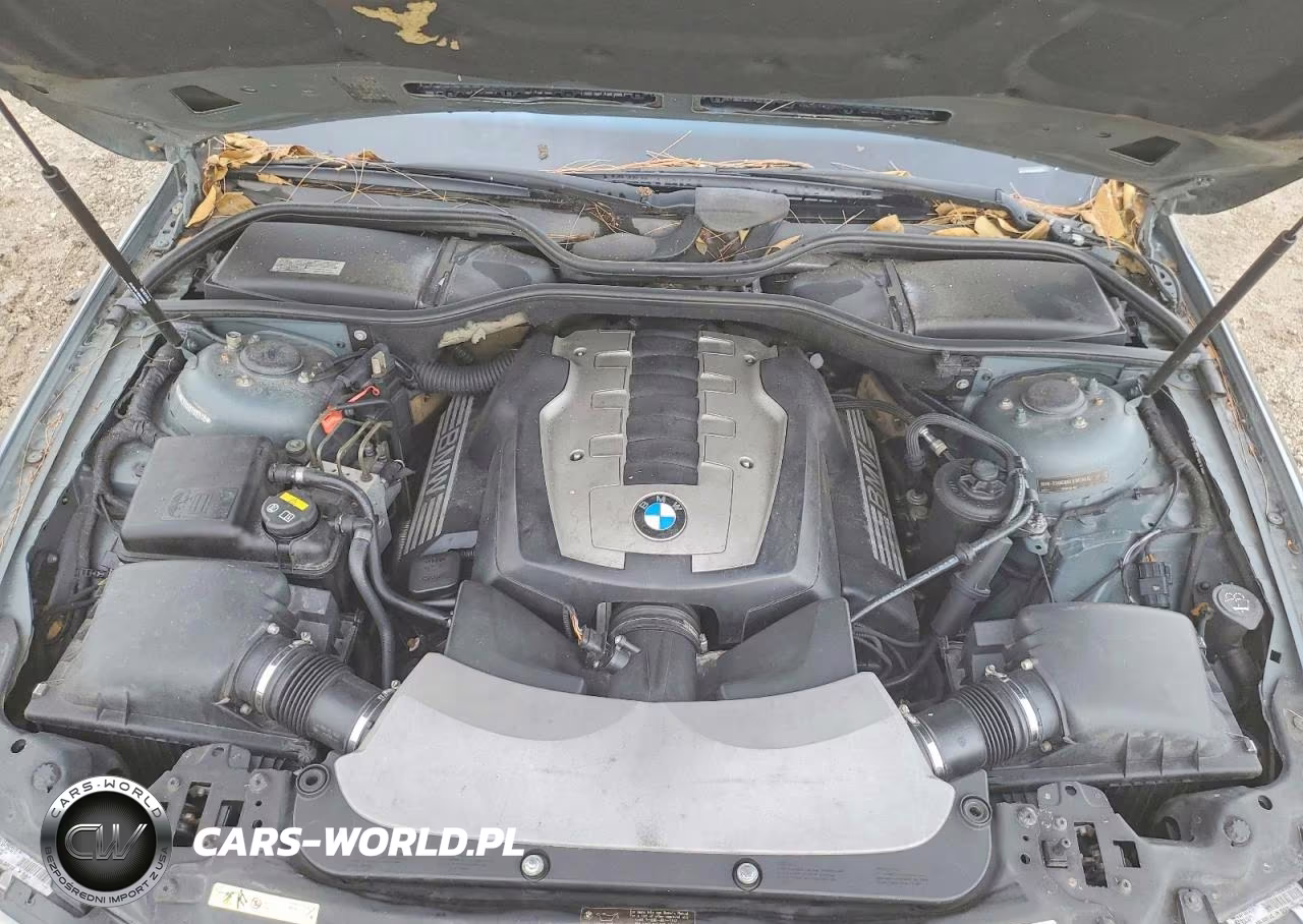 2006 BMW 750 Li VIN:WBAHN835X6DT63348 - 11