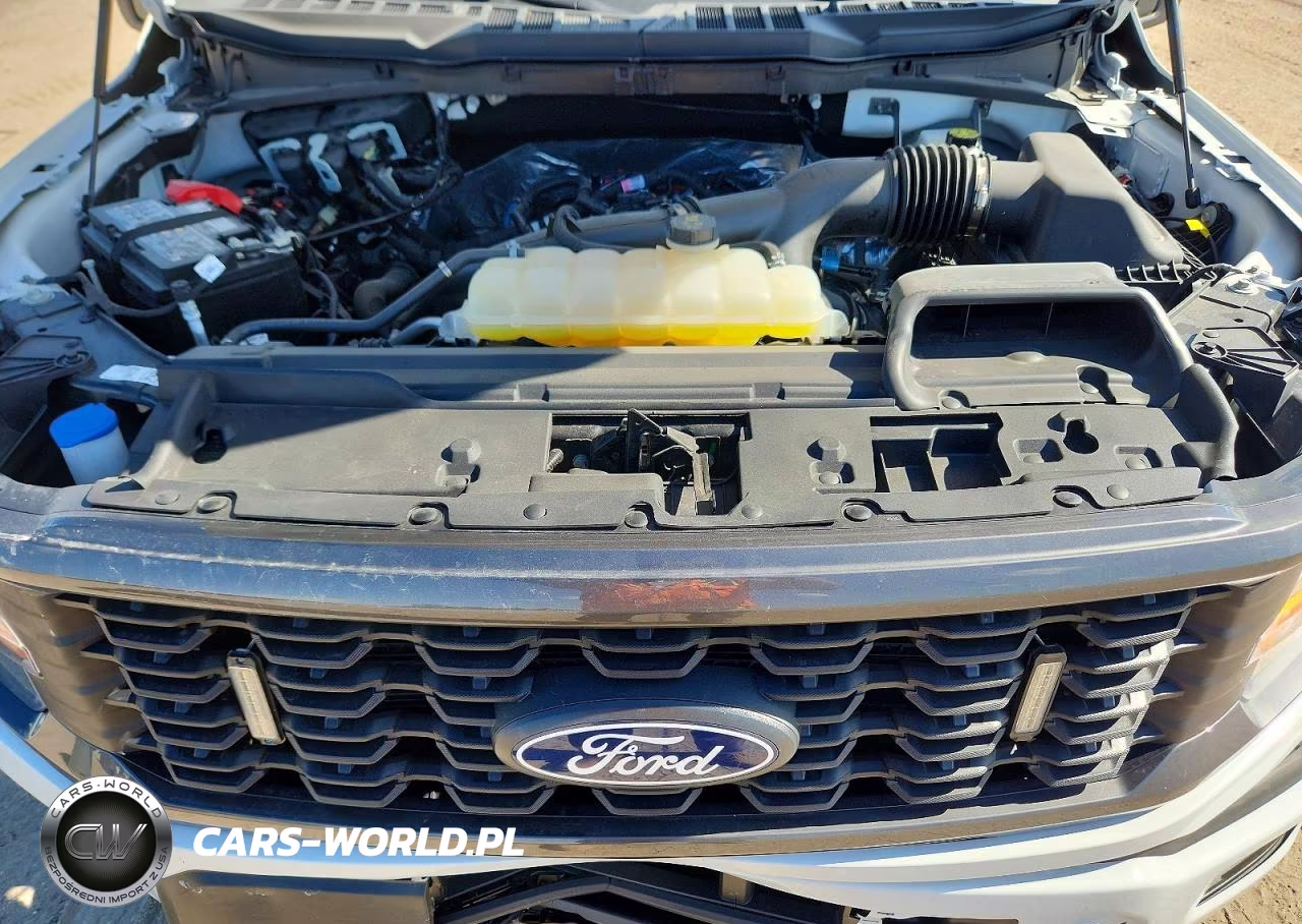 2025 Ford F150 Stx VIN:1FTEW2LP8SKF22049 - 11