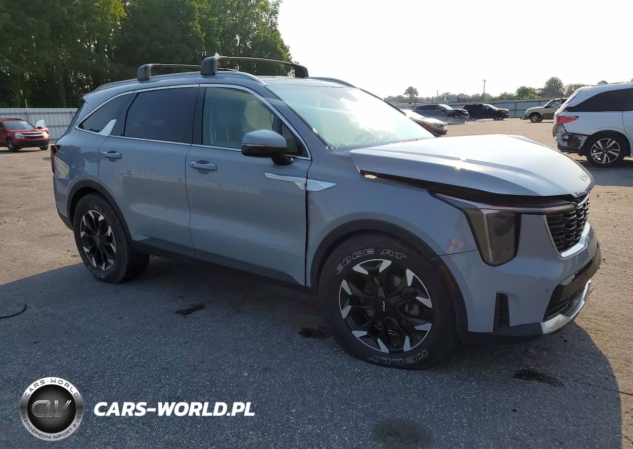 2024 Kia Sorento Ex VIN:5XYRH4JF0RG304320 - 4