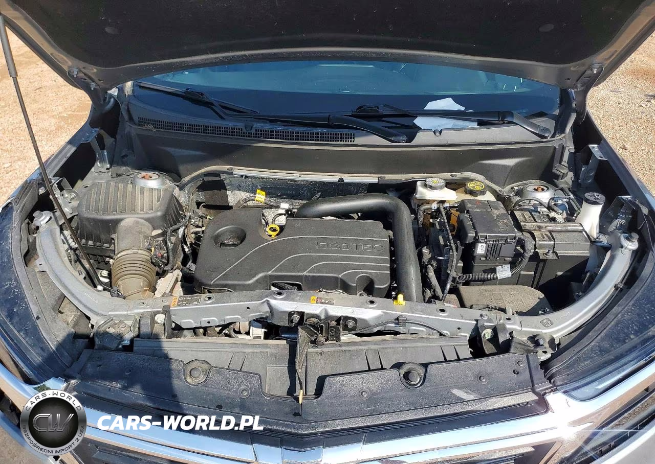 2024 Chevrolet Equinox Lt VIN:3GNAXKEG0RS141598 - 12