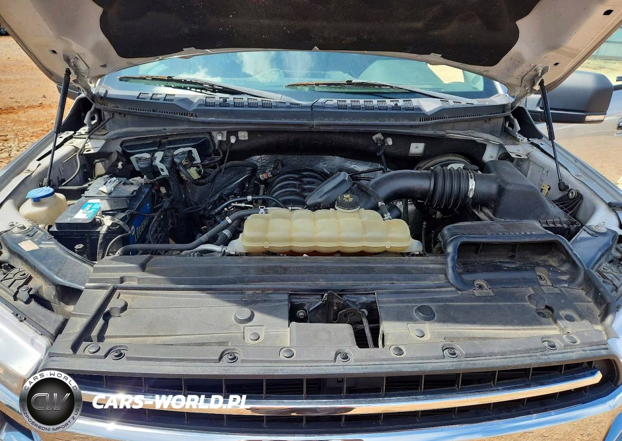 2020 Ford F150 Supercrew VIN:1FTEW1C53LFA64097 - 11
