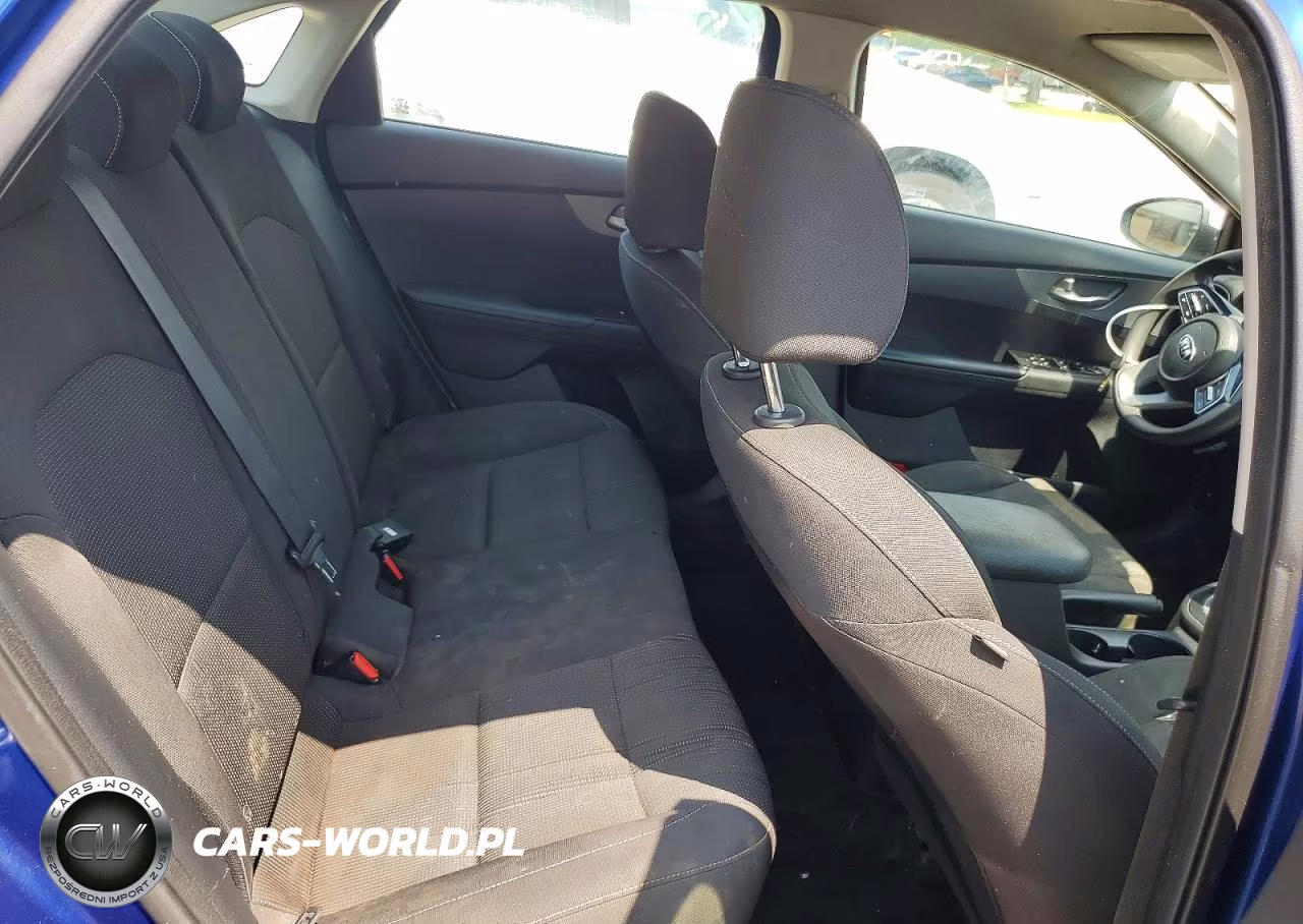 2019 Kia Forte Lx-S VIN:3KPF24AD5KE134591 - 10