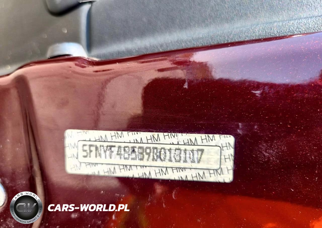 2009 Honda Pilot Exl VIN:5FNYF48589B013117 - 13