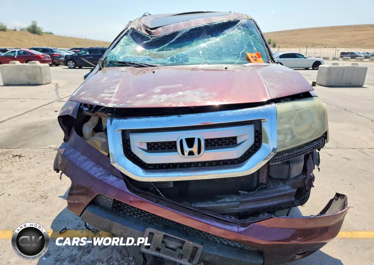 2009 Honda Pilot Exl VIN:5FNYF48589B013117 - 5
