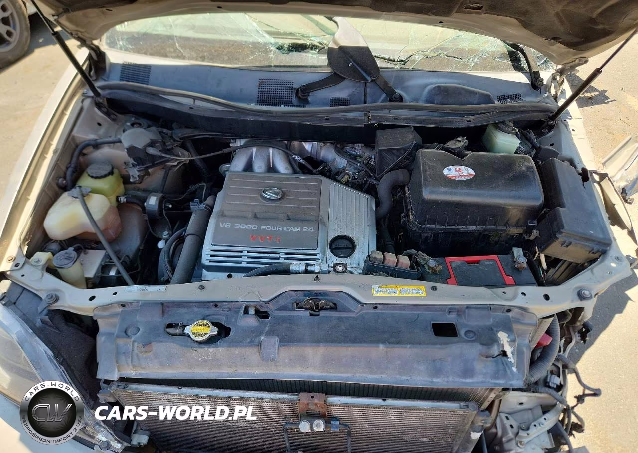 2000 Lexus Rx VIN:JT6GF10U4Y0078600 - 12