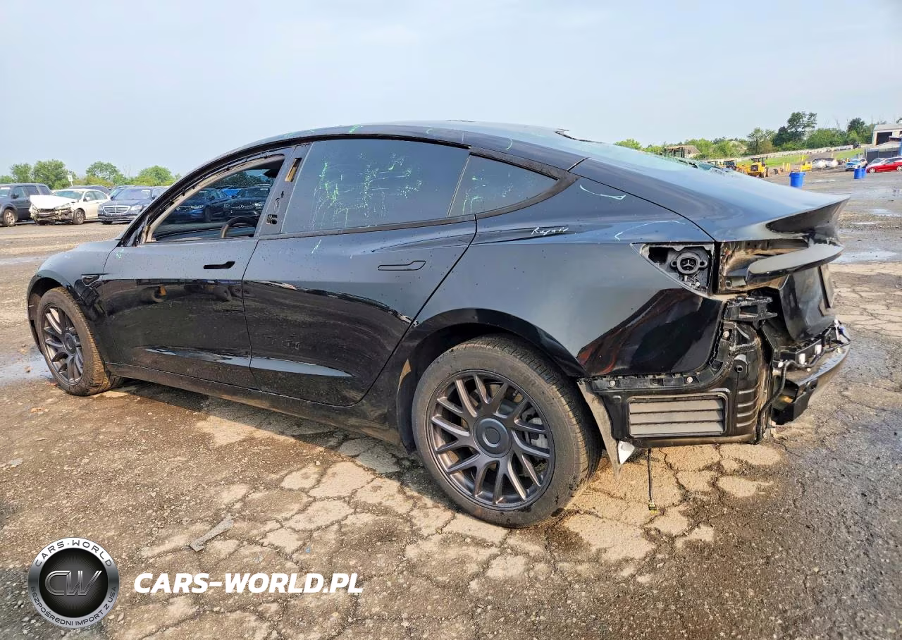 2025 Tesla Model 3 VIN:5YJ3E1EB5SF933251 - 2