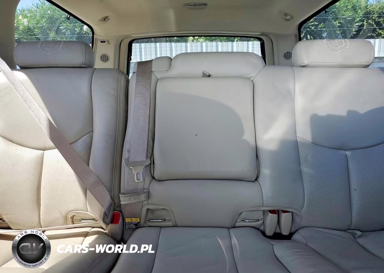 2004 Cadillac Escalade Esv VIN:3GYFK66N24G156109 - 10