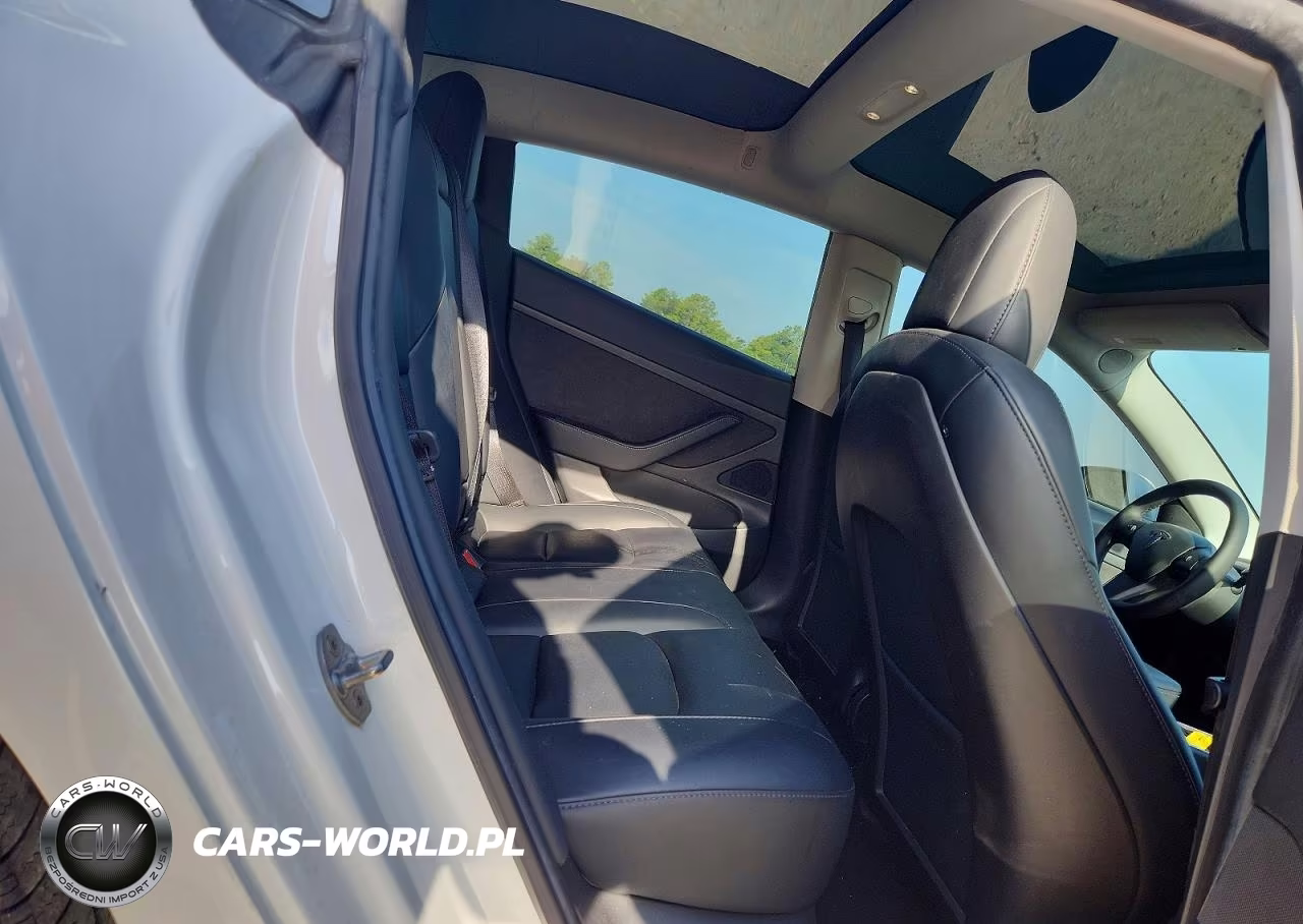 2020 Tesla Model 3 VIN:5YJ3E1EA2LF642618 - 10