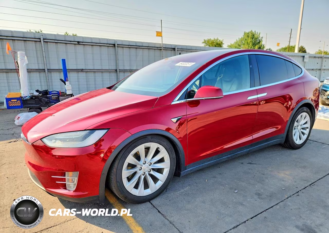 2019 Tesla Model X