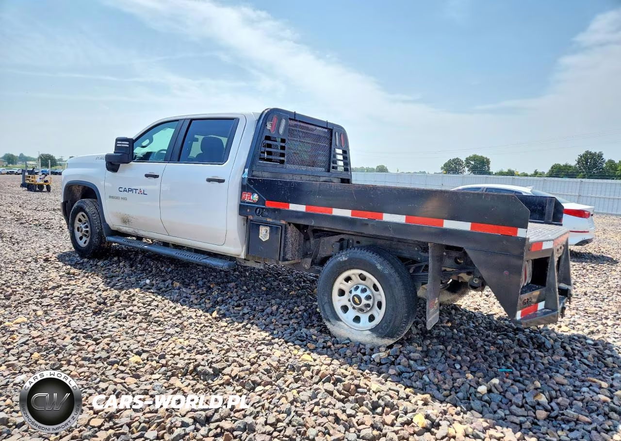 2020 Chevrolet Silverado K3500 VIN:1GC4YSE77LF259680 - 2