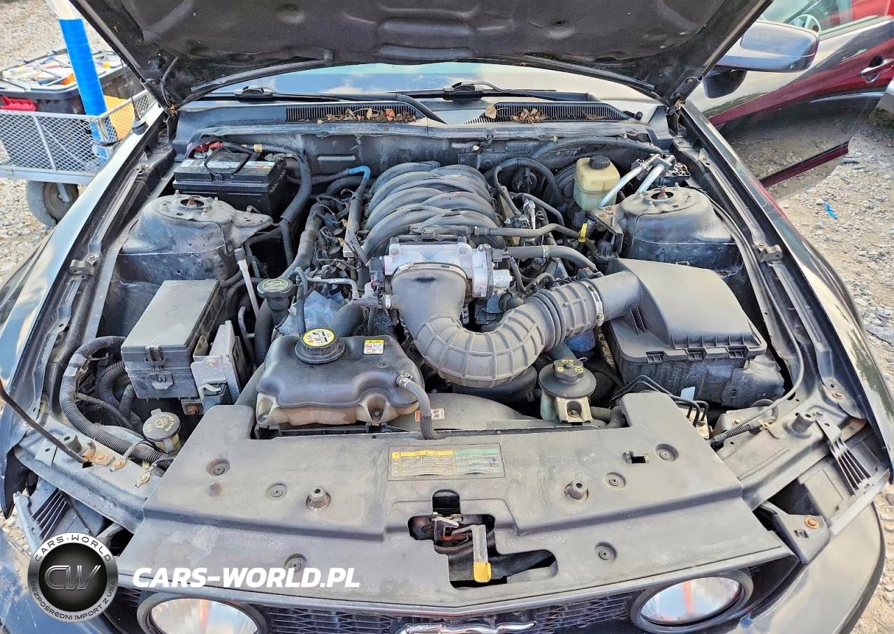 2005 Ford Mustang Gt VIN:1ZVFT85H455218075 - 11