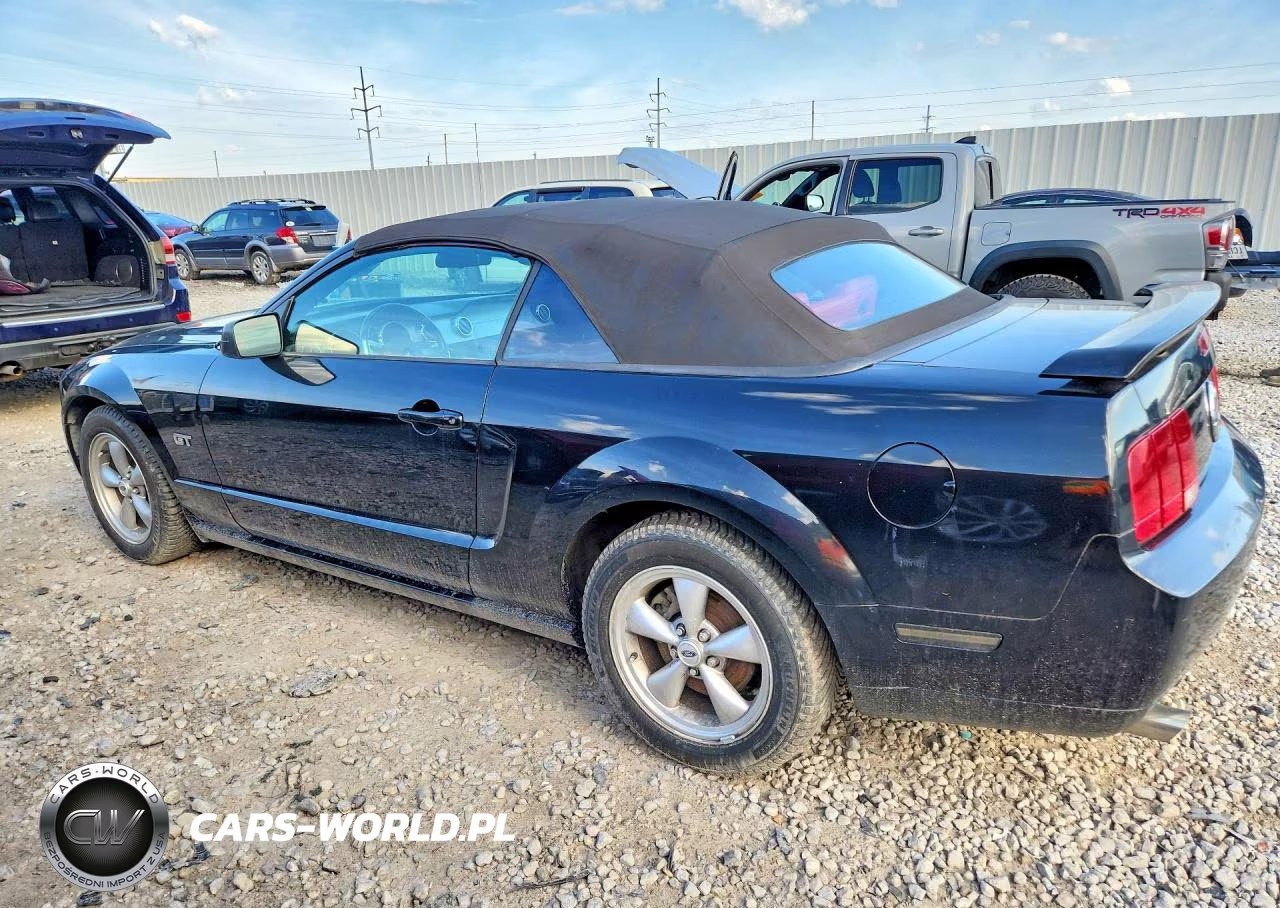 2005 Ford Mustang Gt VIN:1ZVFT85H455218075 - 2