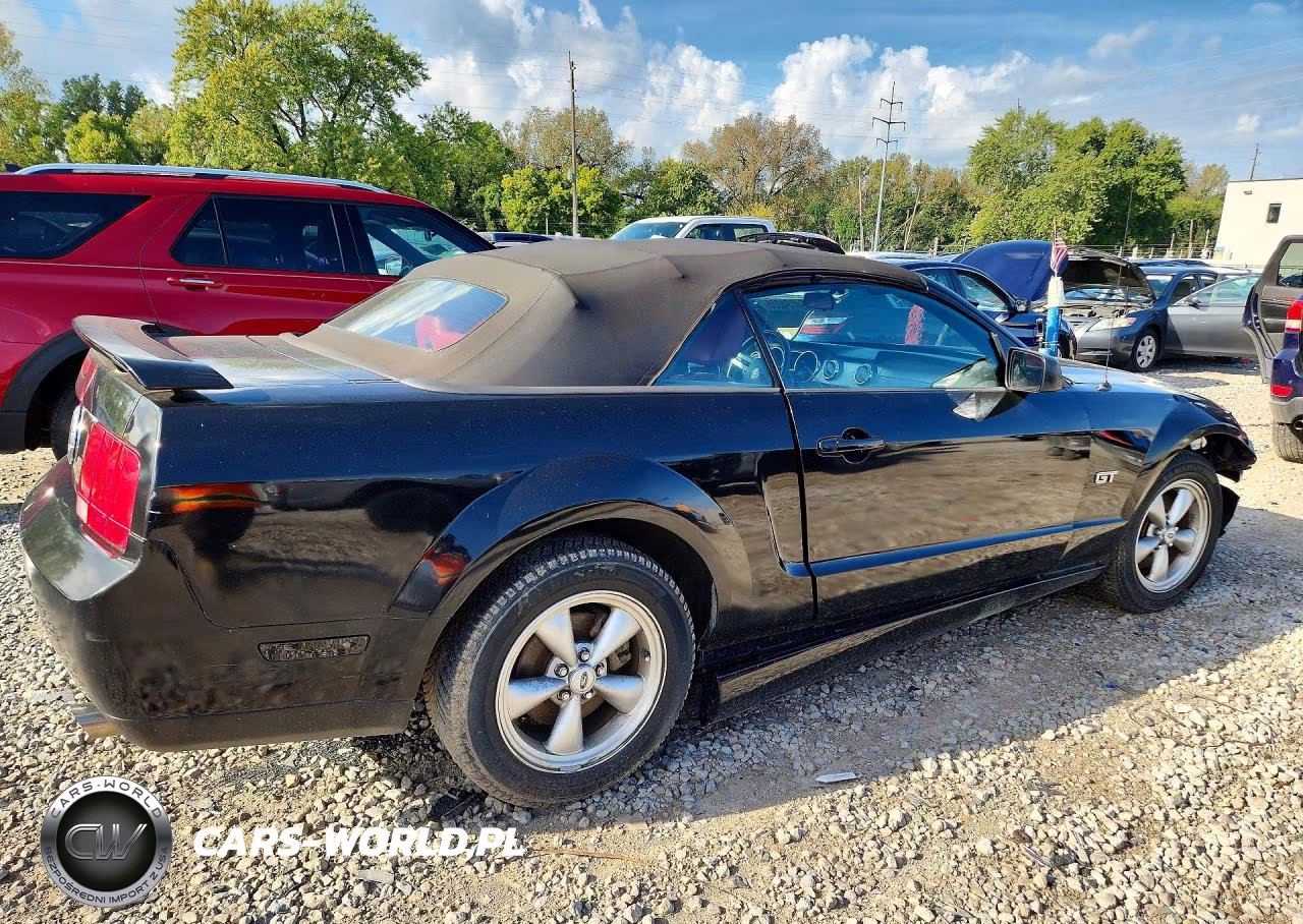 2005 Ford Mustang Gt VIN:1ZVFT85H455218075 - 3