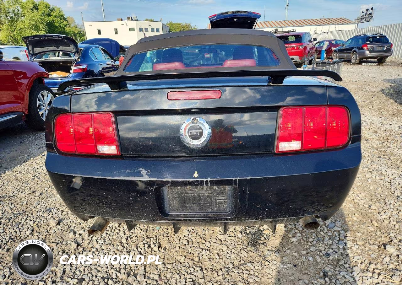 2005 Ford Mustang Gt VIN:1ZVFT85H455218075 - 6
