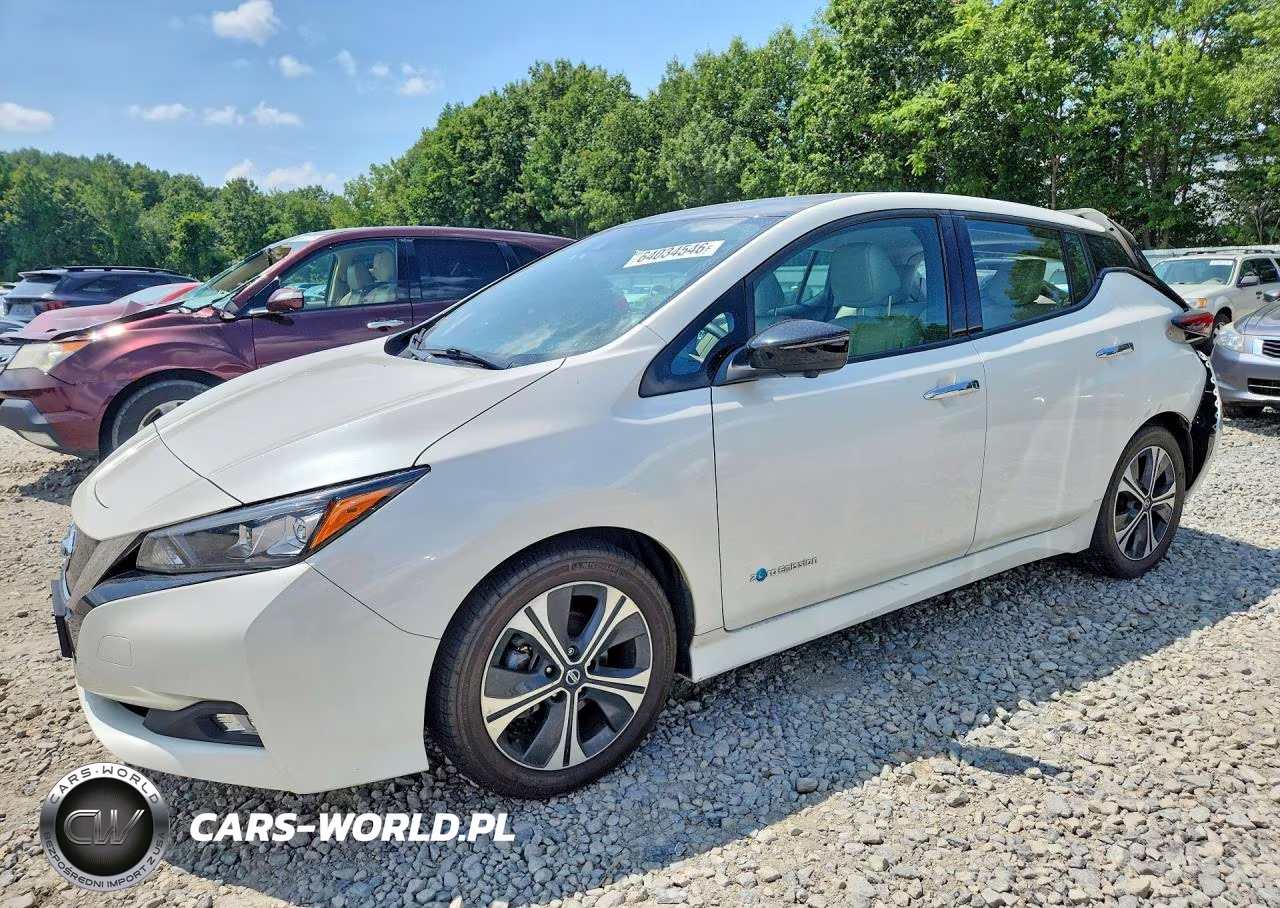 2019 Nissan Leaf Sl