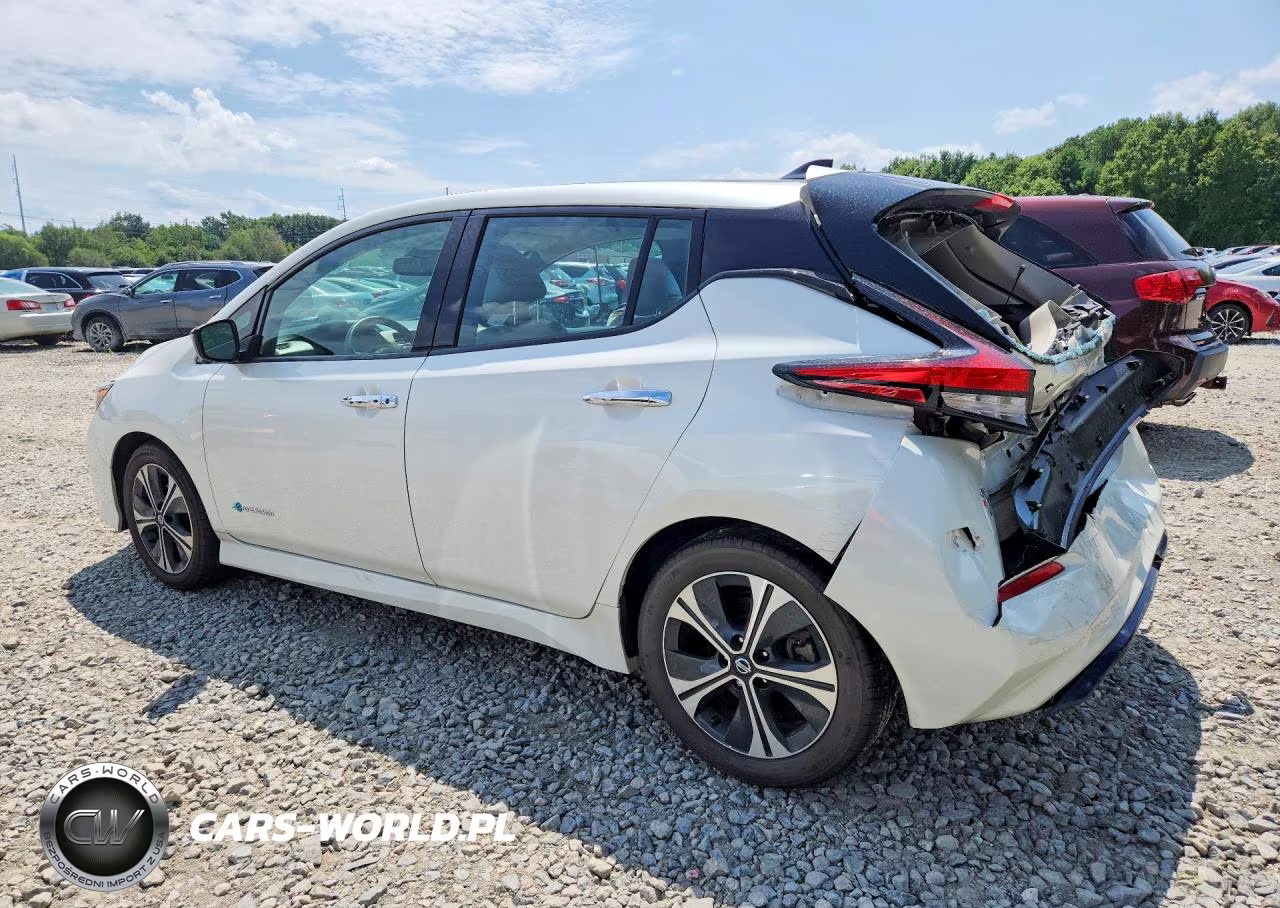 2019 Nissan Leaf Sl VIN:1N4AZ1CP5KC305638 - 2