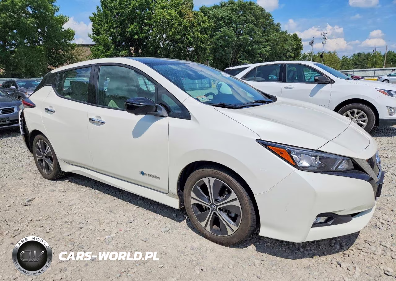 2019 Nissan Leaf Sl VIN:1N4AZ1CP5KC305638 - 4