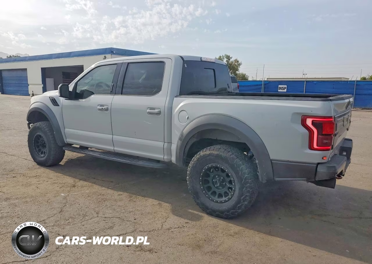 2017 Ford F150 Raptor VIN:1FTFW1RG9HFA66439 - 2