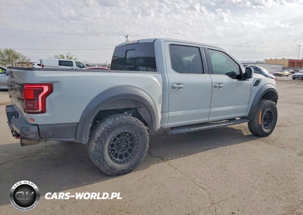 2017 Ford F150 Raptor VIN:1FTFW1RG9HFA66439 - 3