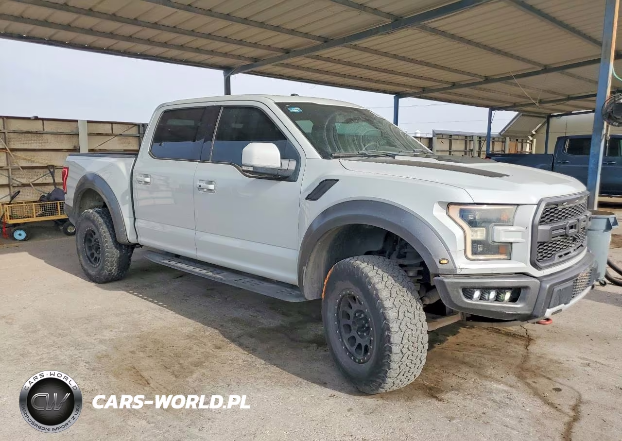 2017 Ford F150 Raptor VIN:1FTFW1RG9HFA66439 - 4