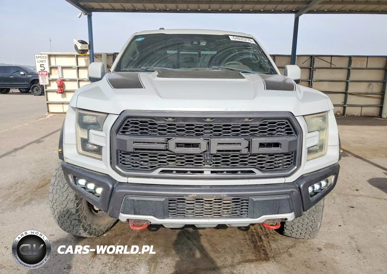 2017 Ford F150 Raptor VIN:1FTFW1RG9HFA66439 - 5