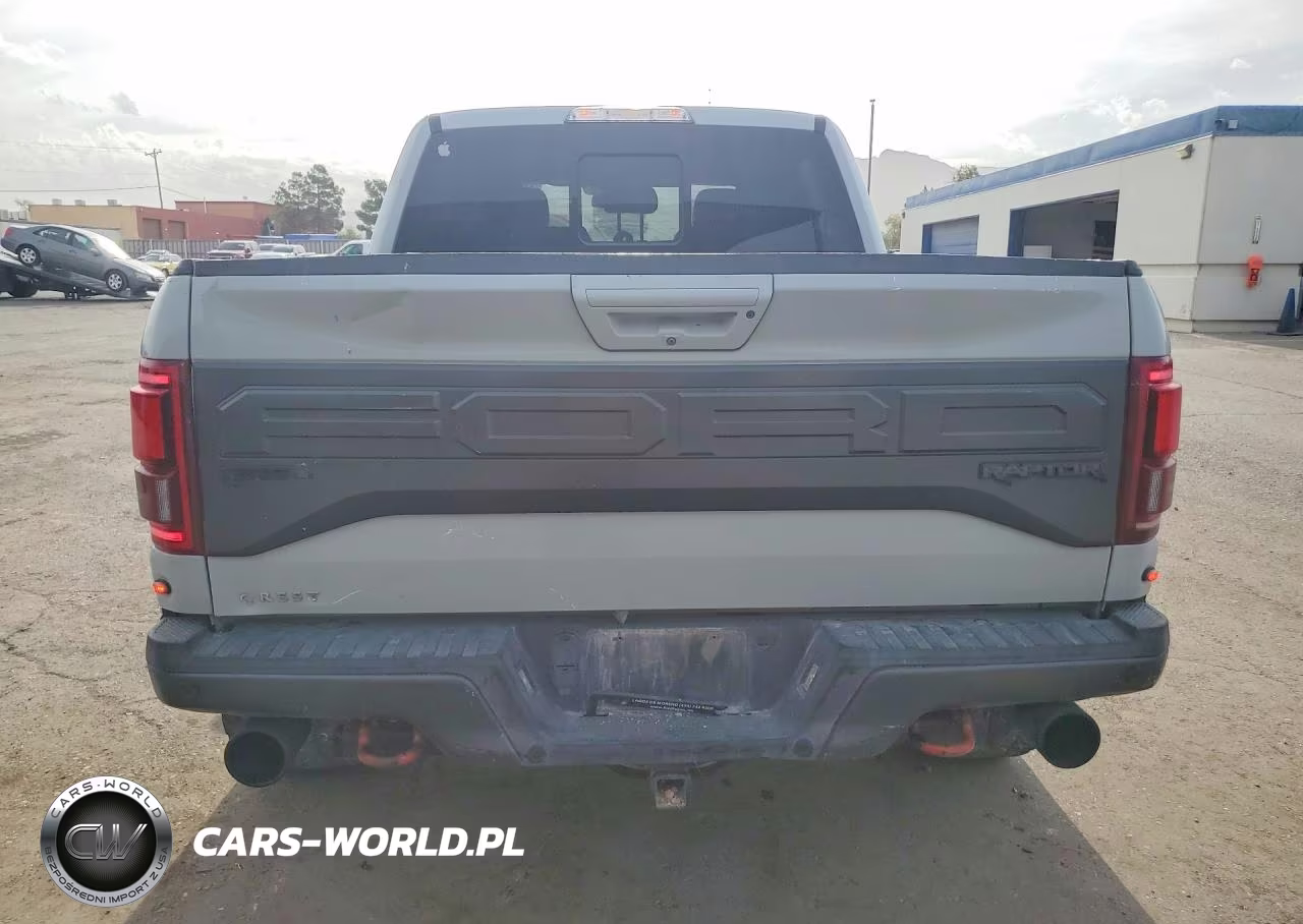 2017 Ford F150 Raptor VIN:1FTFW1RG9HFA66439 - 6
