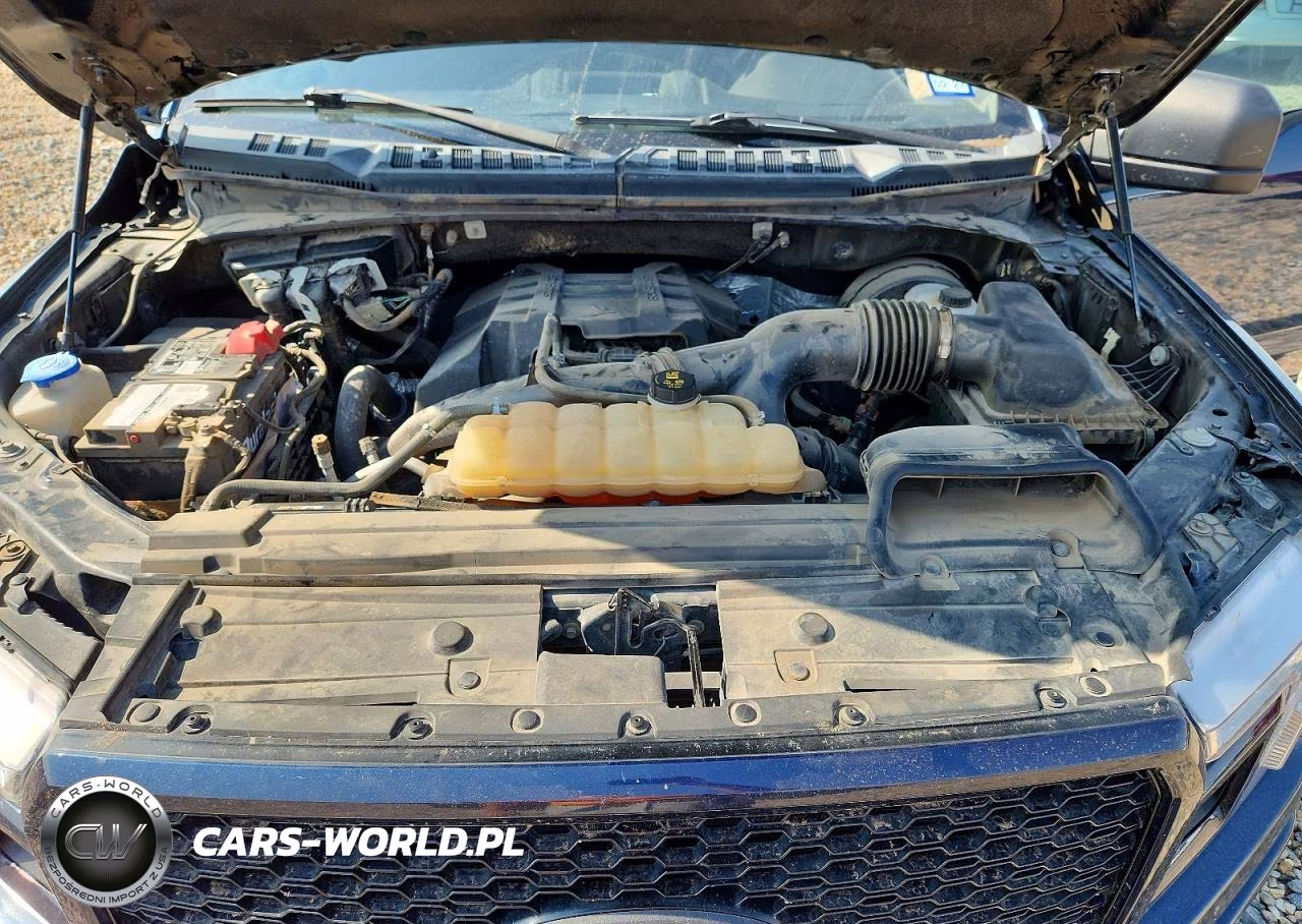 2018 Ford F150 Supercrew VIN:1FTEW1CP6JKC80225 - 11