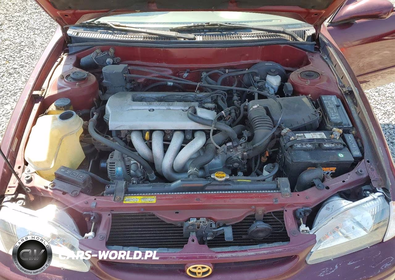 1998 Toyota Corolla Ve VIN:2T1BR18EXWC014393 - 11