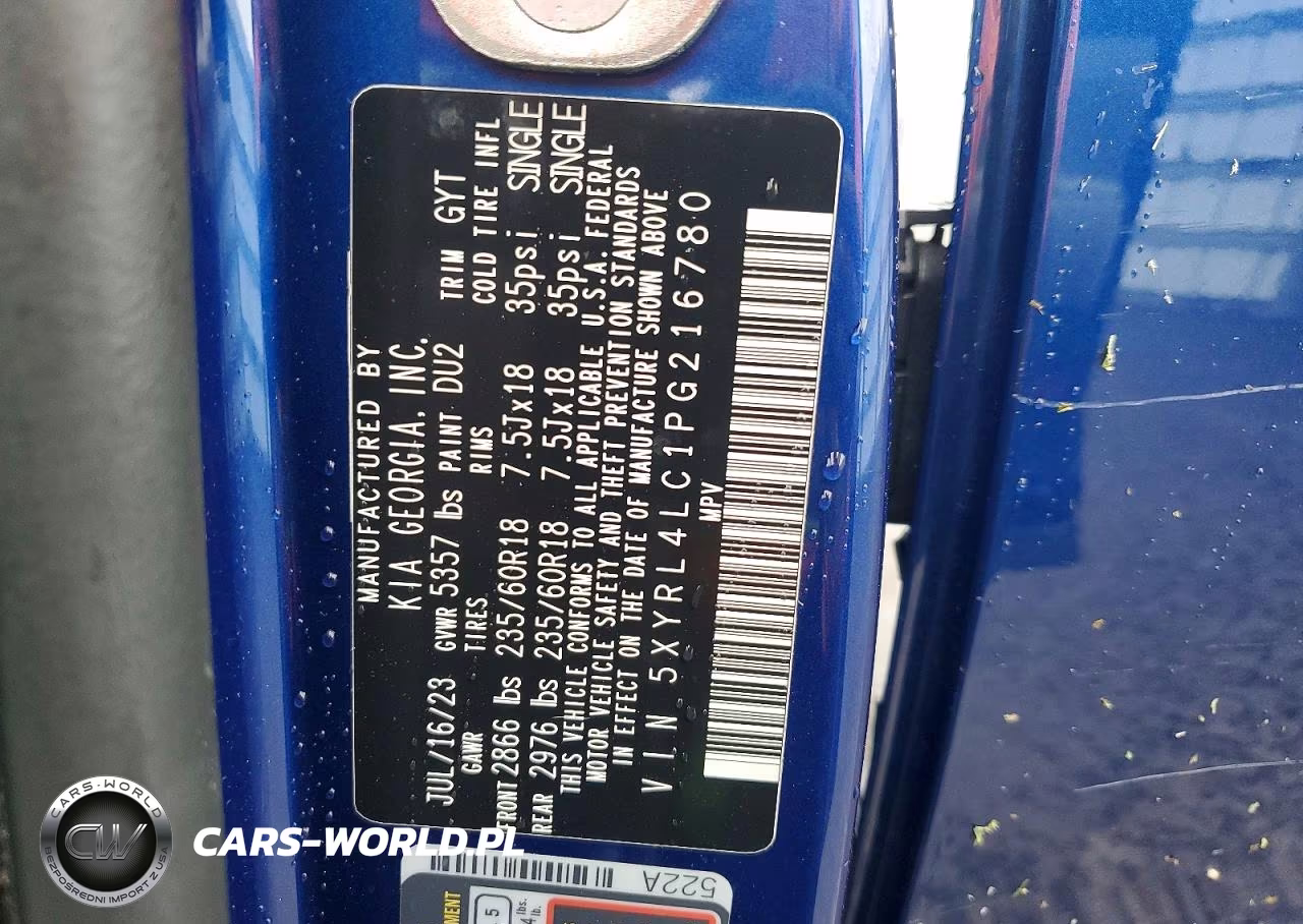 2023 Kia Sorento S VIN:5XYRL4LC1PG216780 - 13