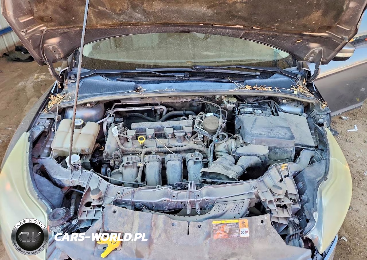 2013 Ford Focus VIN:1FADP3F21DL382881 - 11