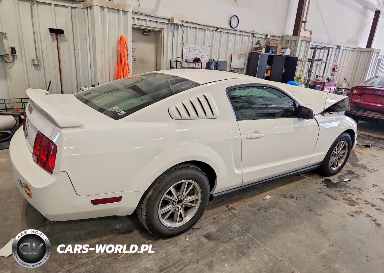 2005 Ford Mustang VIN:1ZVFT80N155175764 - 3