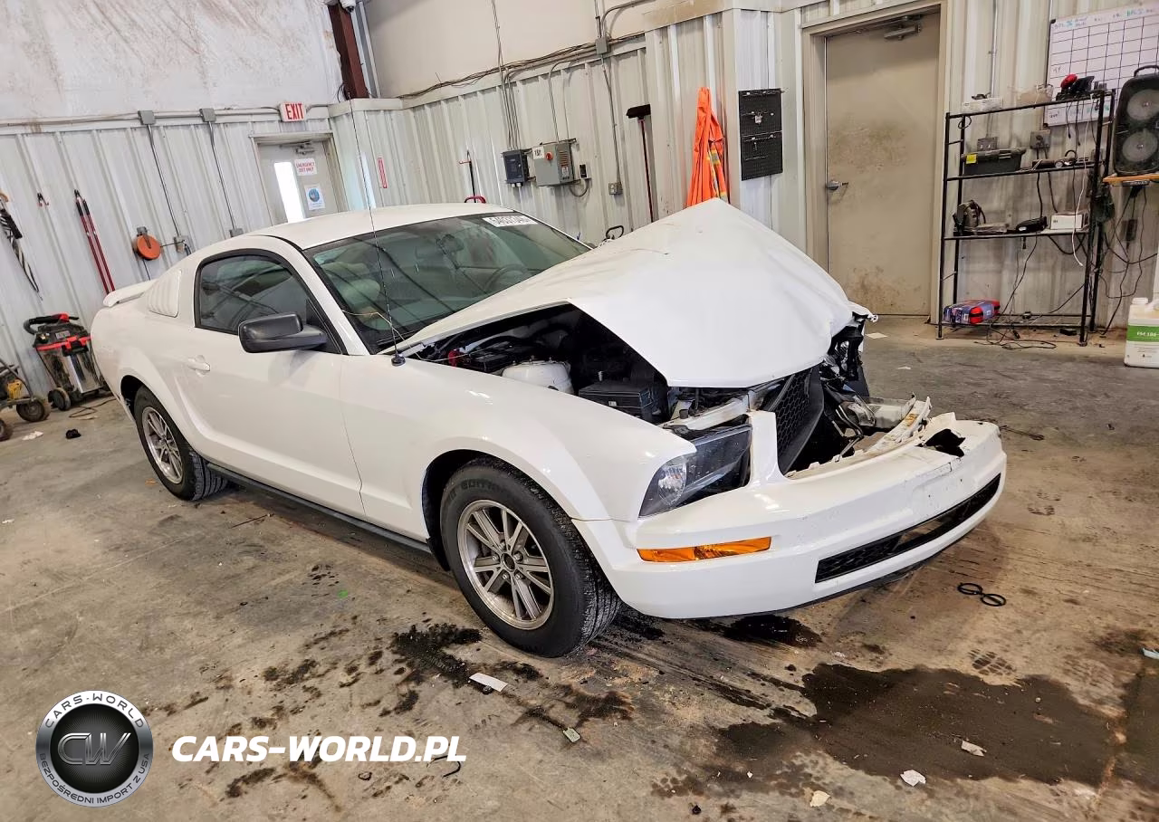 2005 Ford Mustang VIN:1ZVFT80N155175764 - 4