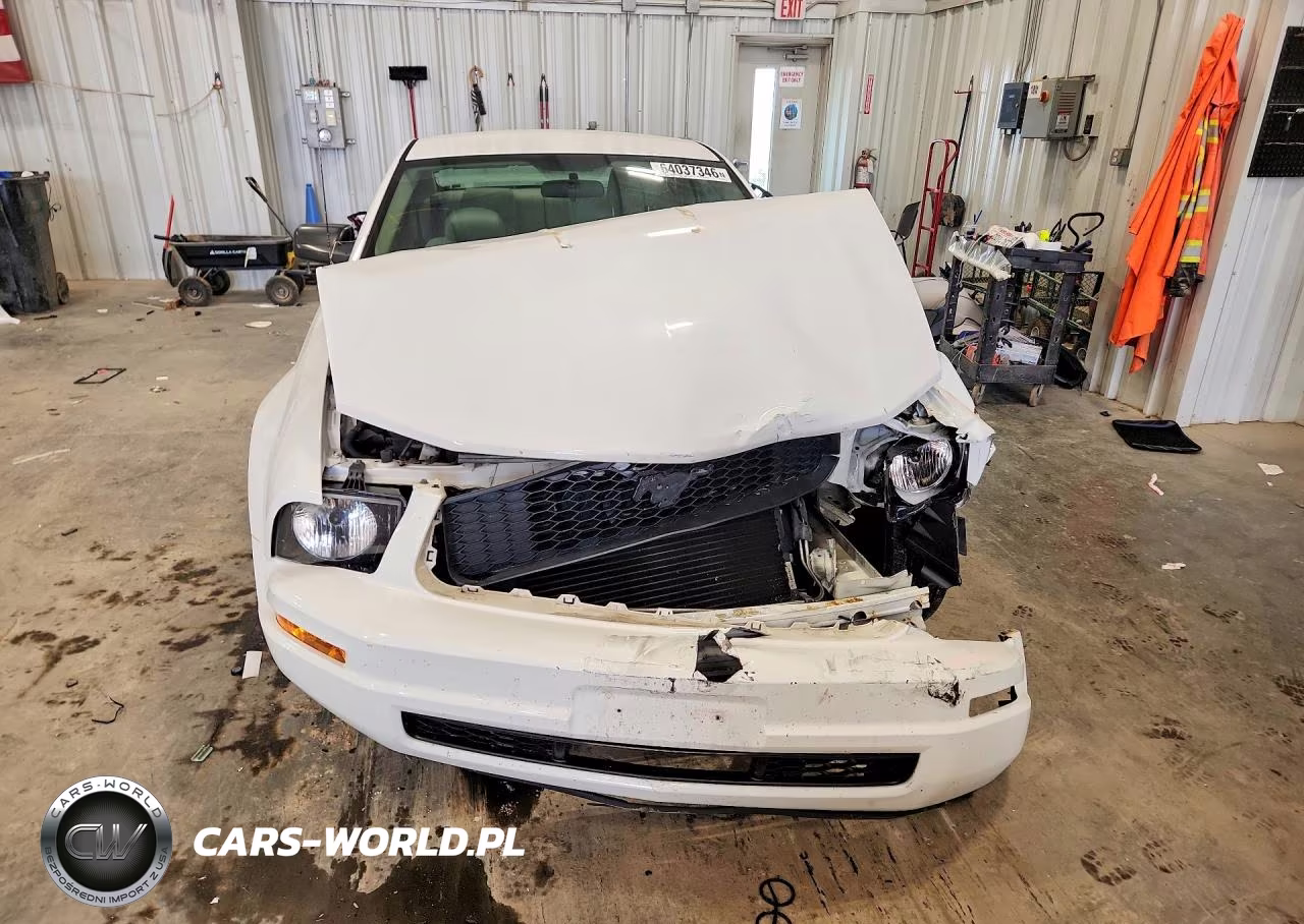 2005 Ford Mustang VIN:1ZVFT80N155175764 - 5