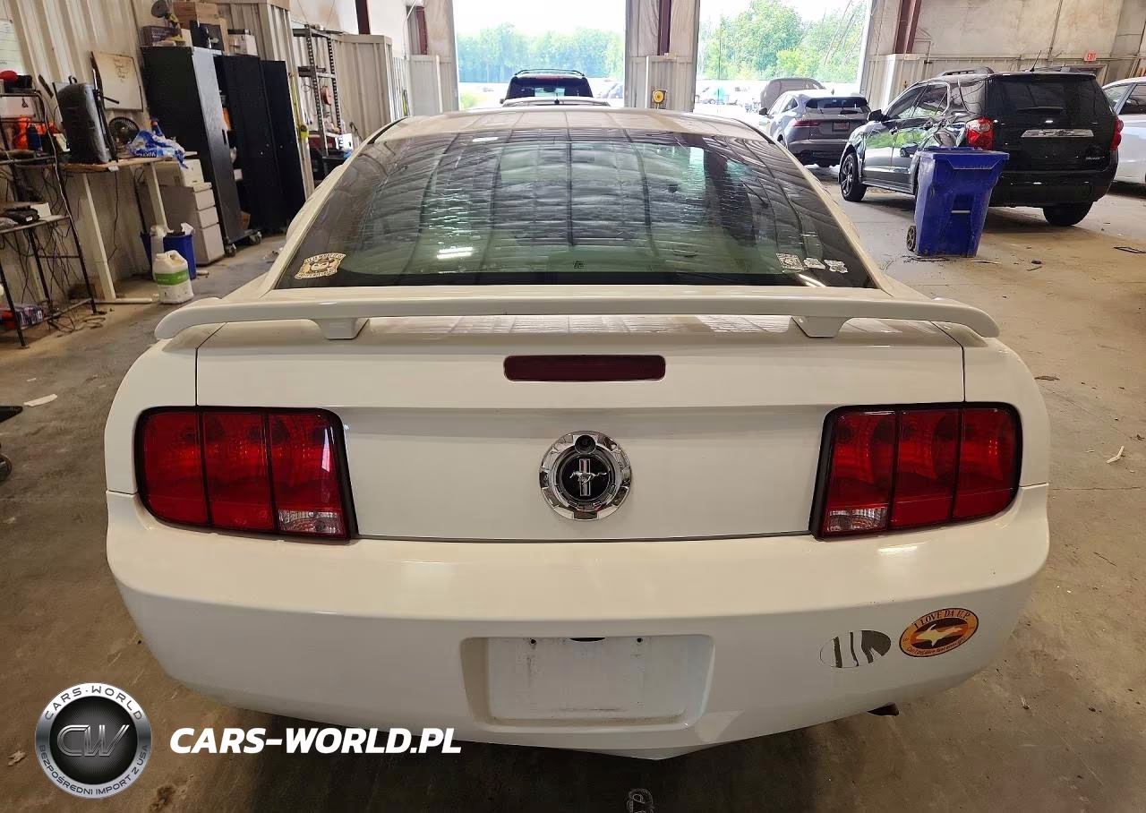 2005 Ford Mustang VIN:1ZVFT80N155175764 - 6