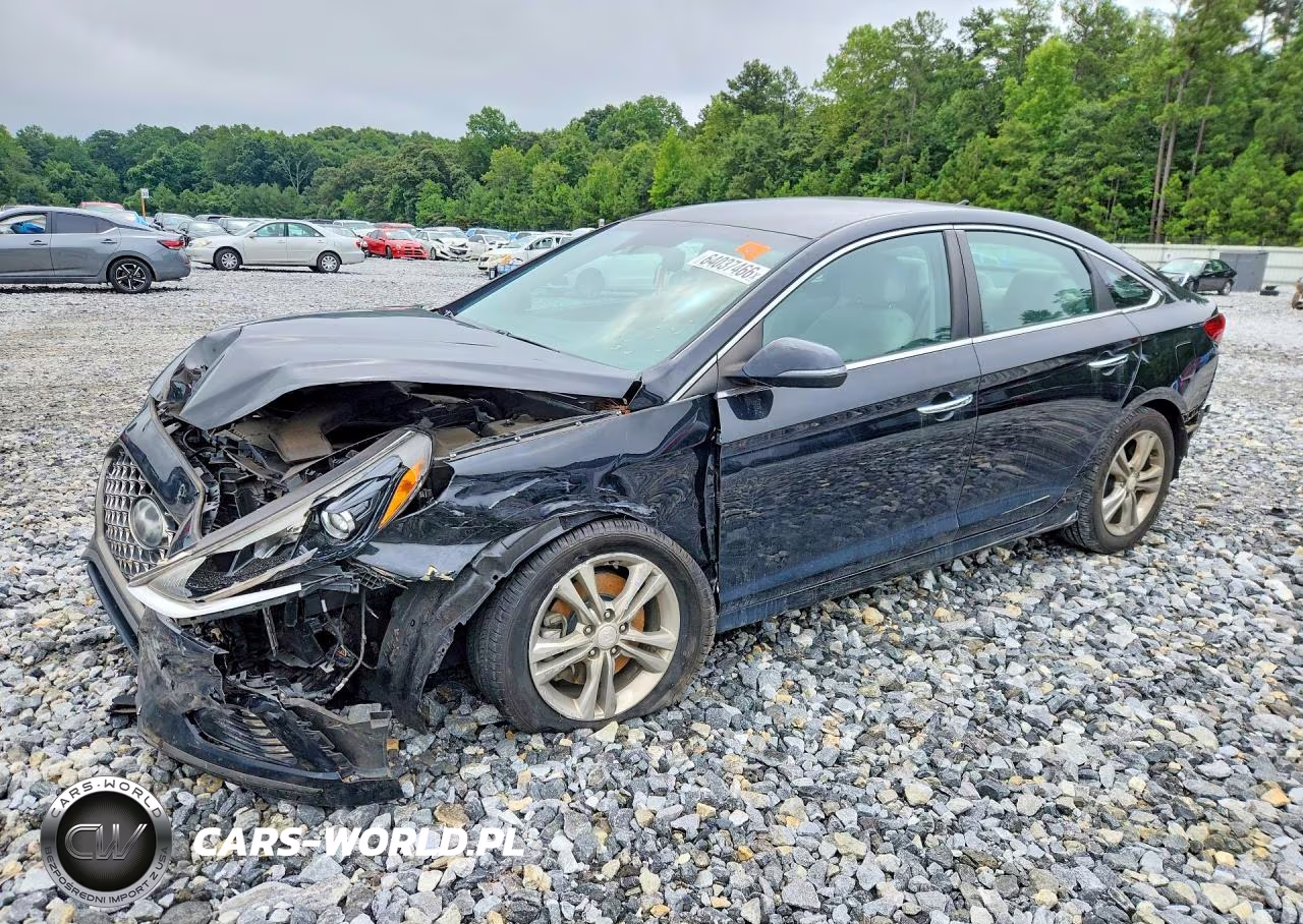 2019 Hyundai Sonata Sel VIN:5NPE34AF6KH813758 - 1
