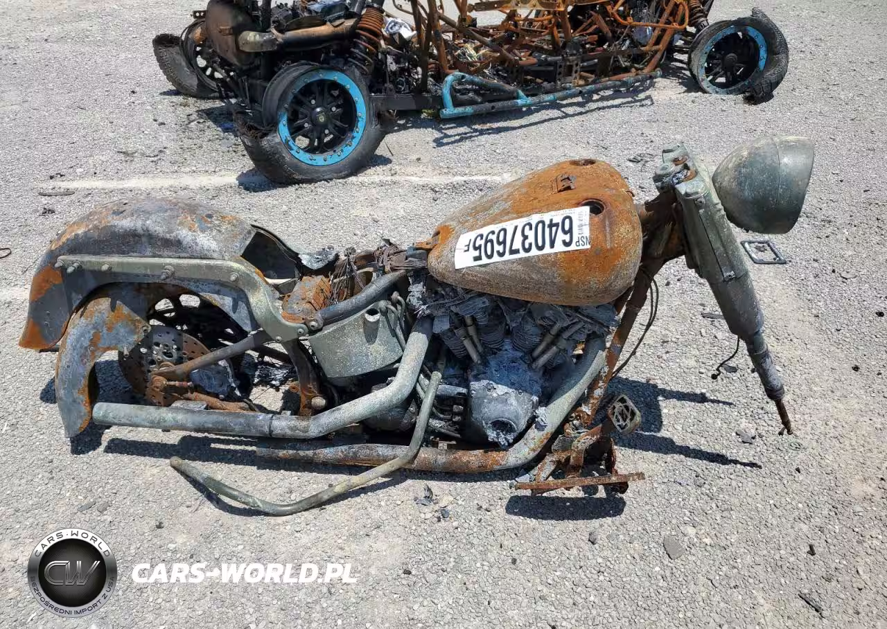 2000 Harley-Davidson Flstc