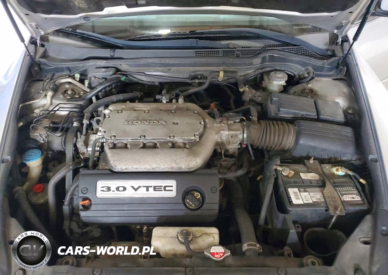 2007 Honda Accord Ex VIN:1HGCM66517A079787 - 11