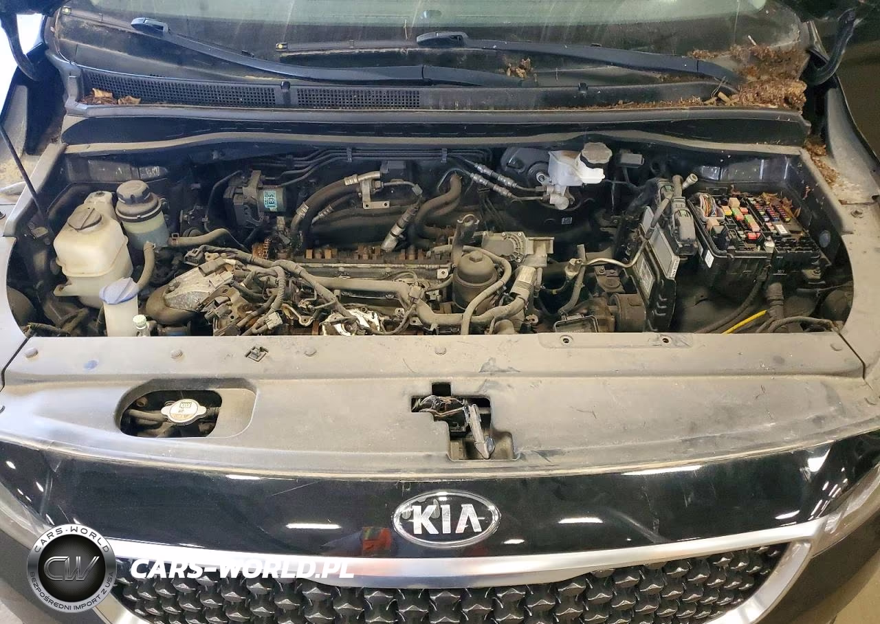 2016 Kia Sedona Lx VIN:KNDMB5C16G6085933 - 12