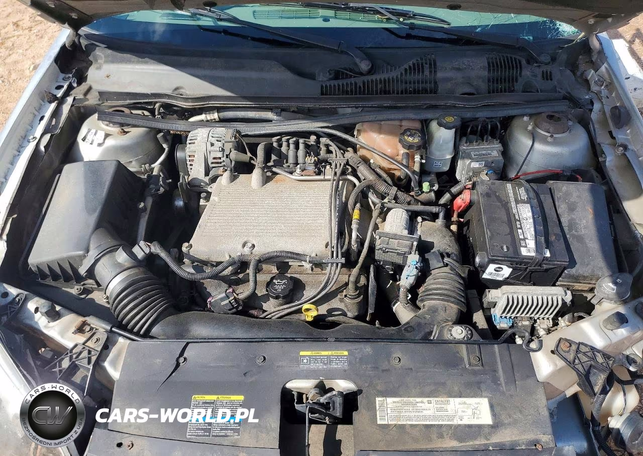 2005 Chevrolet Malibu Maxx Ls VIN:1G1ZT64805F163195 - 11