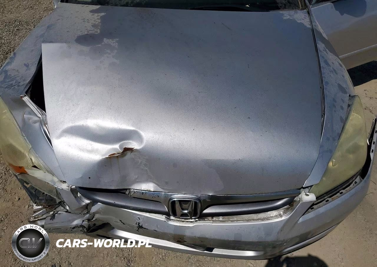 2006 Honda Accord Ex VIN:1HGCM567X6A055563 - 11