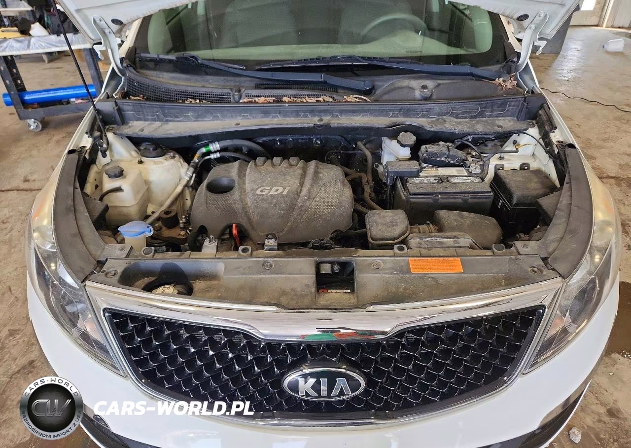 2015 Kia Sportage Lx VIN:KNDPB3AC7F7756024 - 11