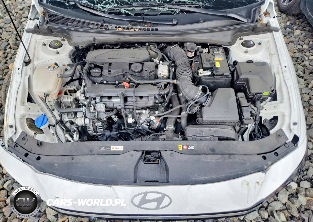 2025 Hyundai Elantra N Line VIN:KMHLR4DF8SU997653 - 11