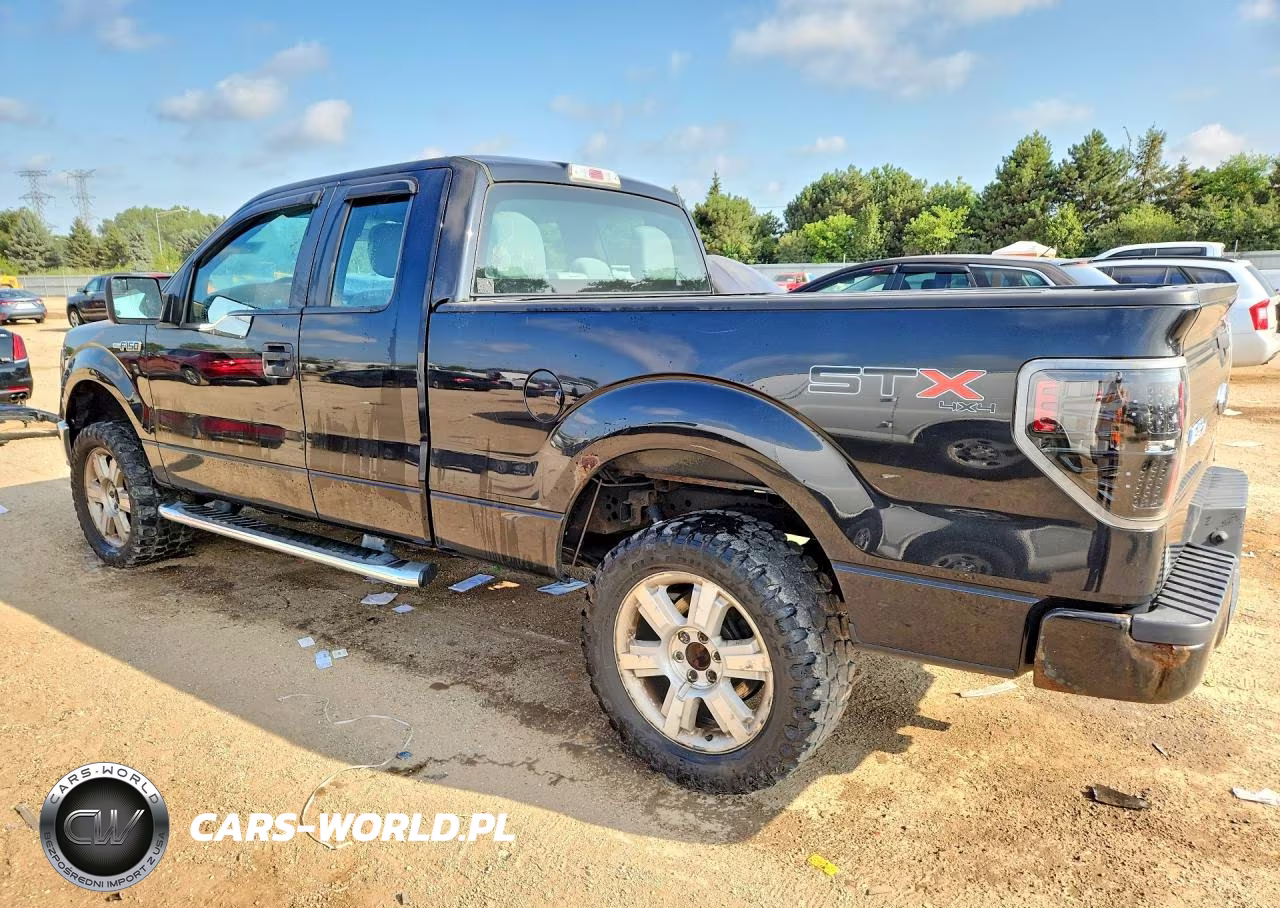 2013 Ford F-150 Stx VIN:1FTFX1EF3DFB81137 - 2