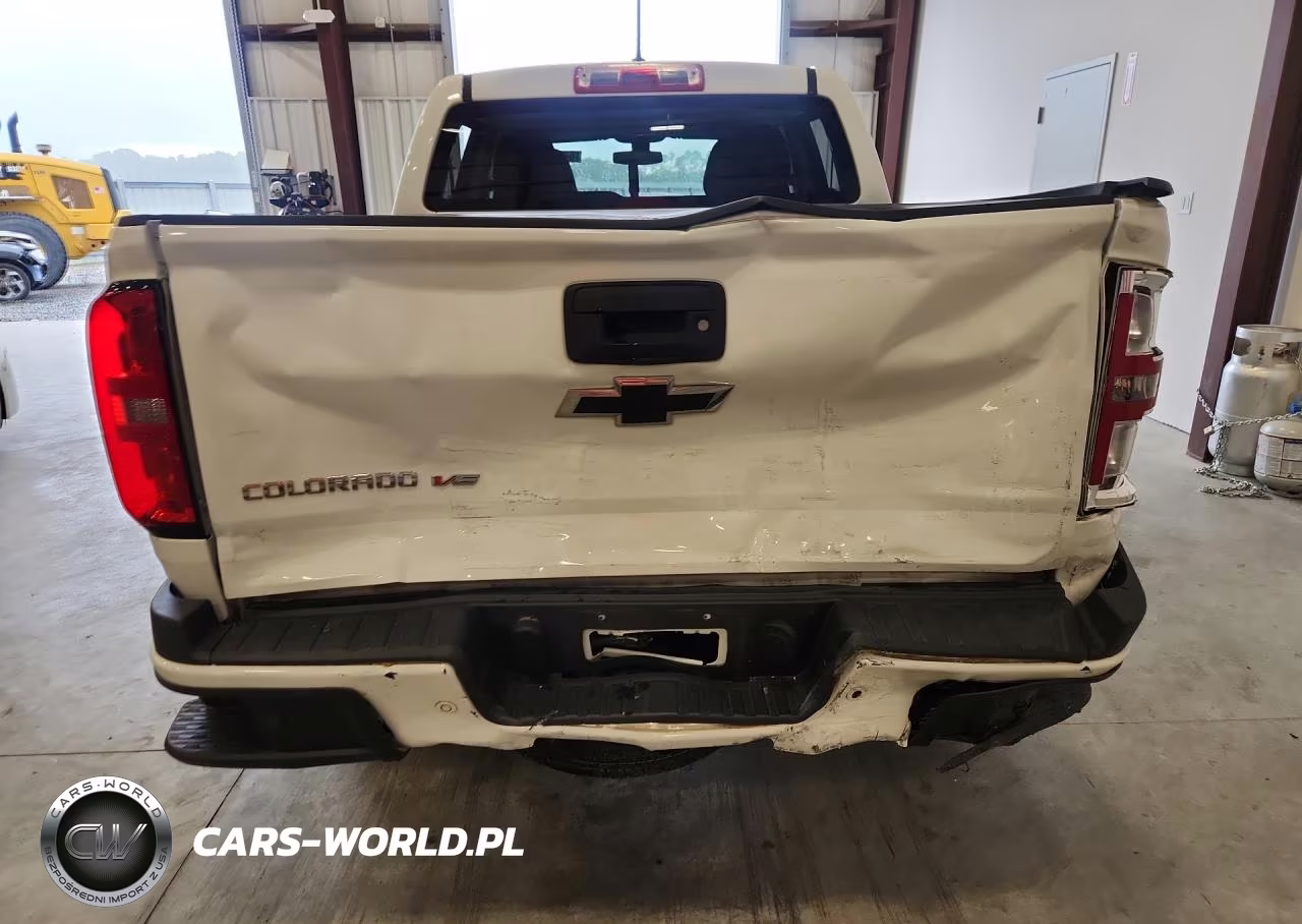2019 Chevrolet Colorado VIN:1GCGSBEN6K1247464 - 6