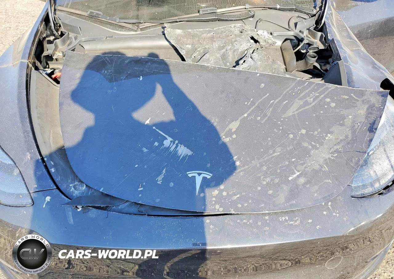 2025 Tesla Model Y VIN:7SAYGDED1SF250940 - 11